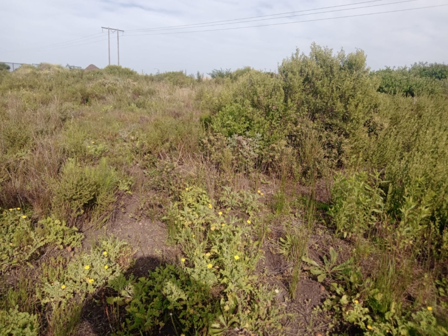 Commercial Property for Sale in C Place Eastern Cape